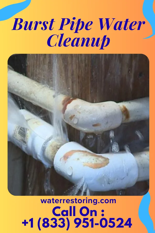 Burst Pipe Water Cleanup in Beach Haven, NJ