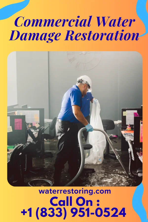 Commercial Water Damage Restoration in Beach Haven, NJ