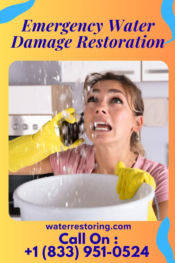 Emergency Water Damage Restoration in Beach Haven, NJ