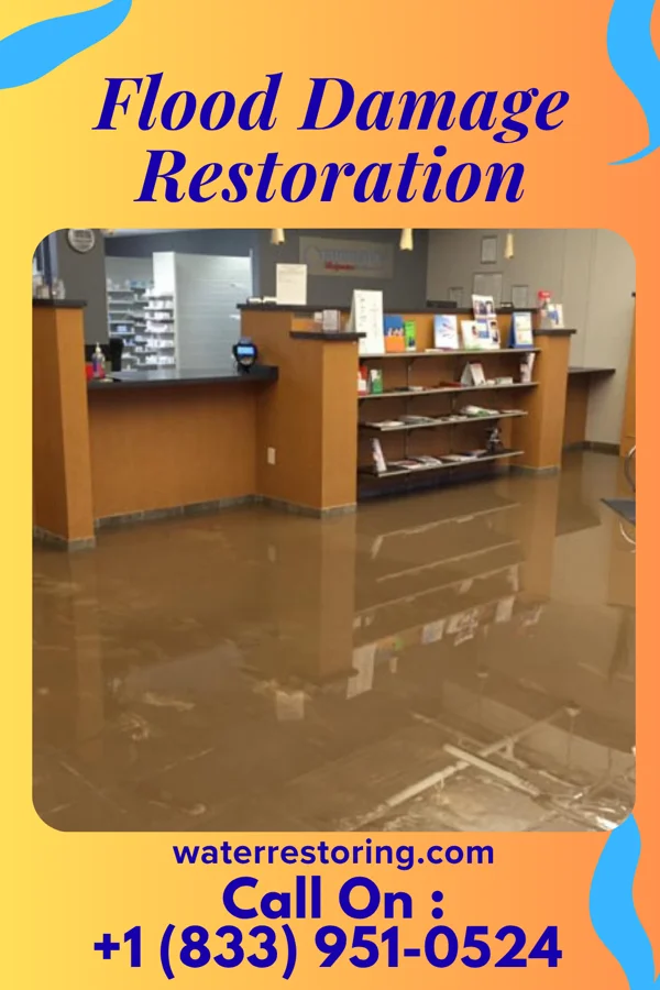 Flood Damage Restoration in Beach Haven, NJ